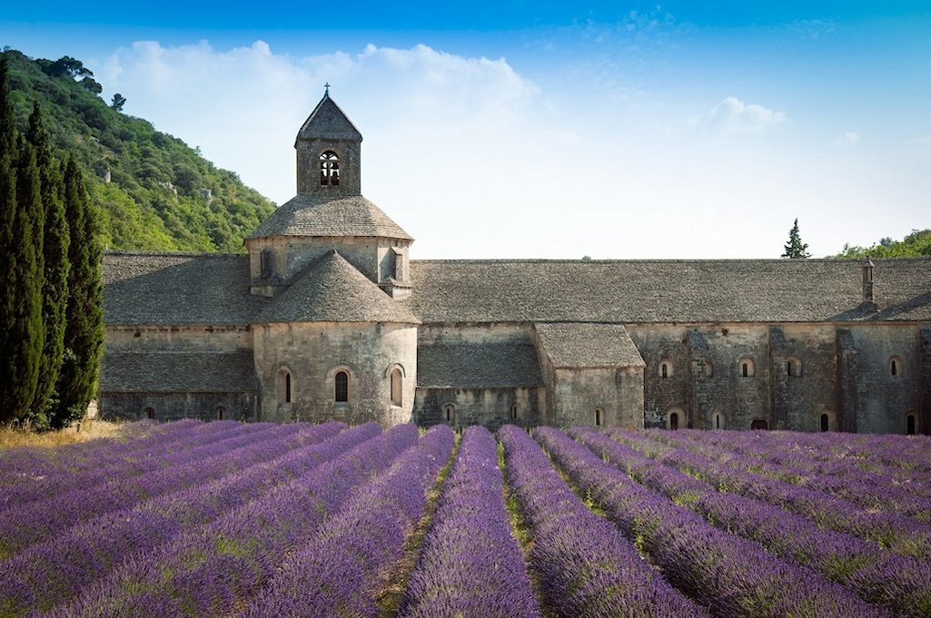 �Z�i���N�C���@�@�S���h