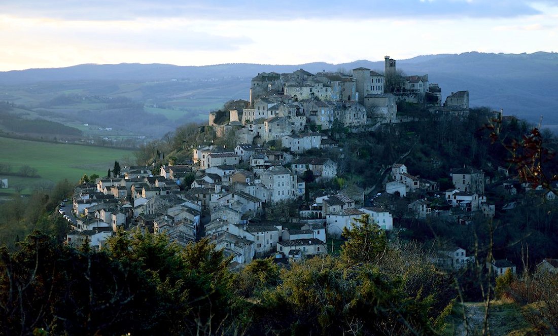 �R���h�E�V�����E�V�G���S�i