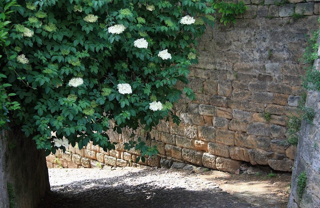 �t�B�W���b�N