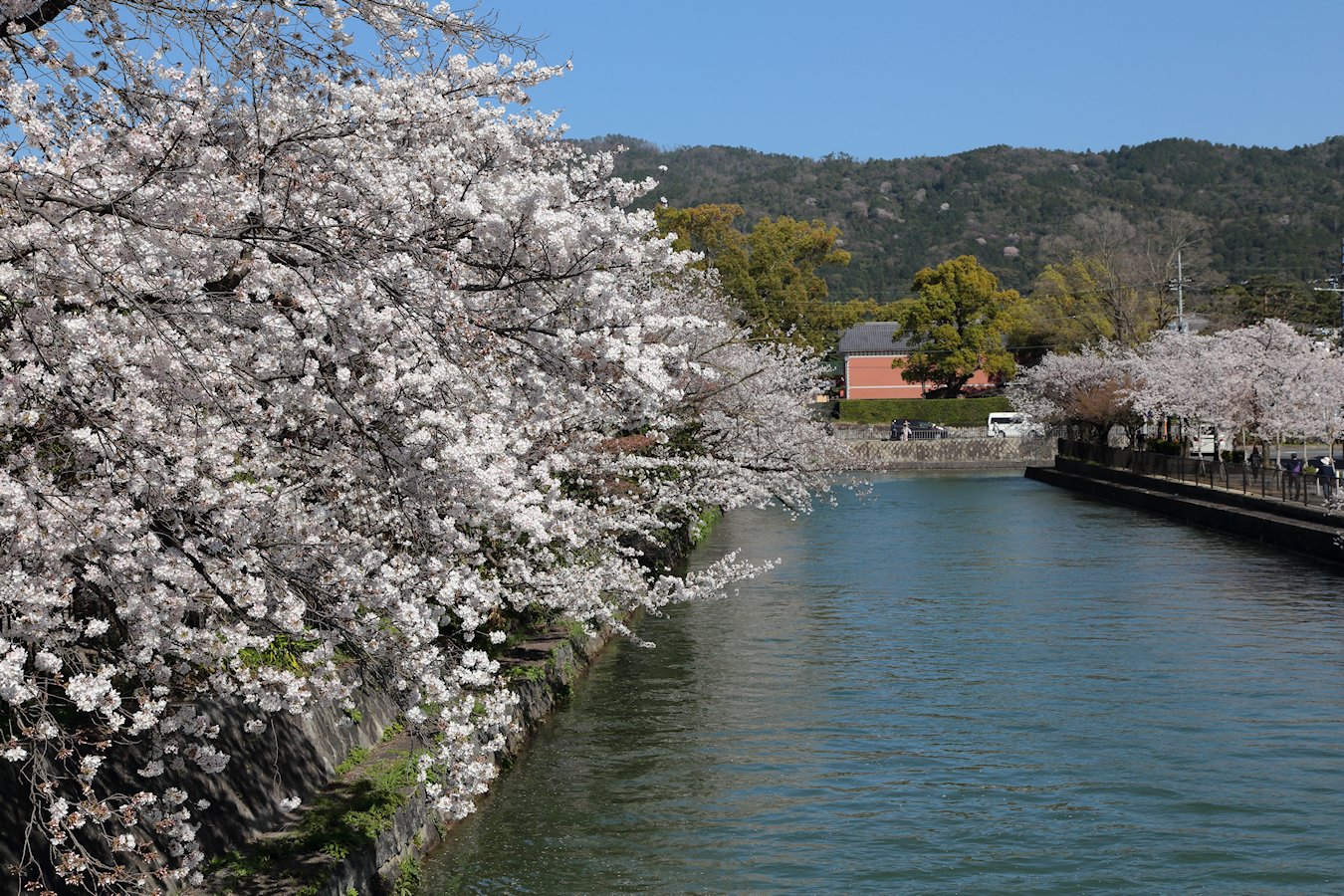 ���i�Α`��