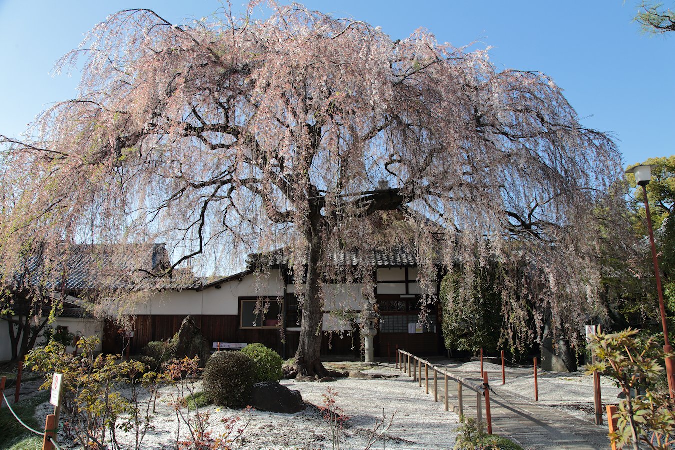 �{�����@�������