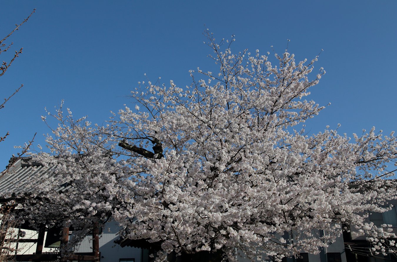 �{�����@�\���C���V�m