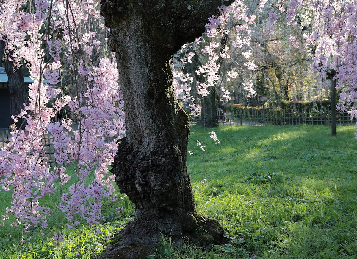 ���s�䉑�@�߉q�@��