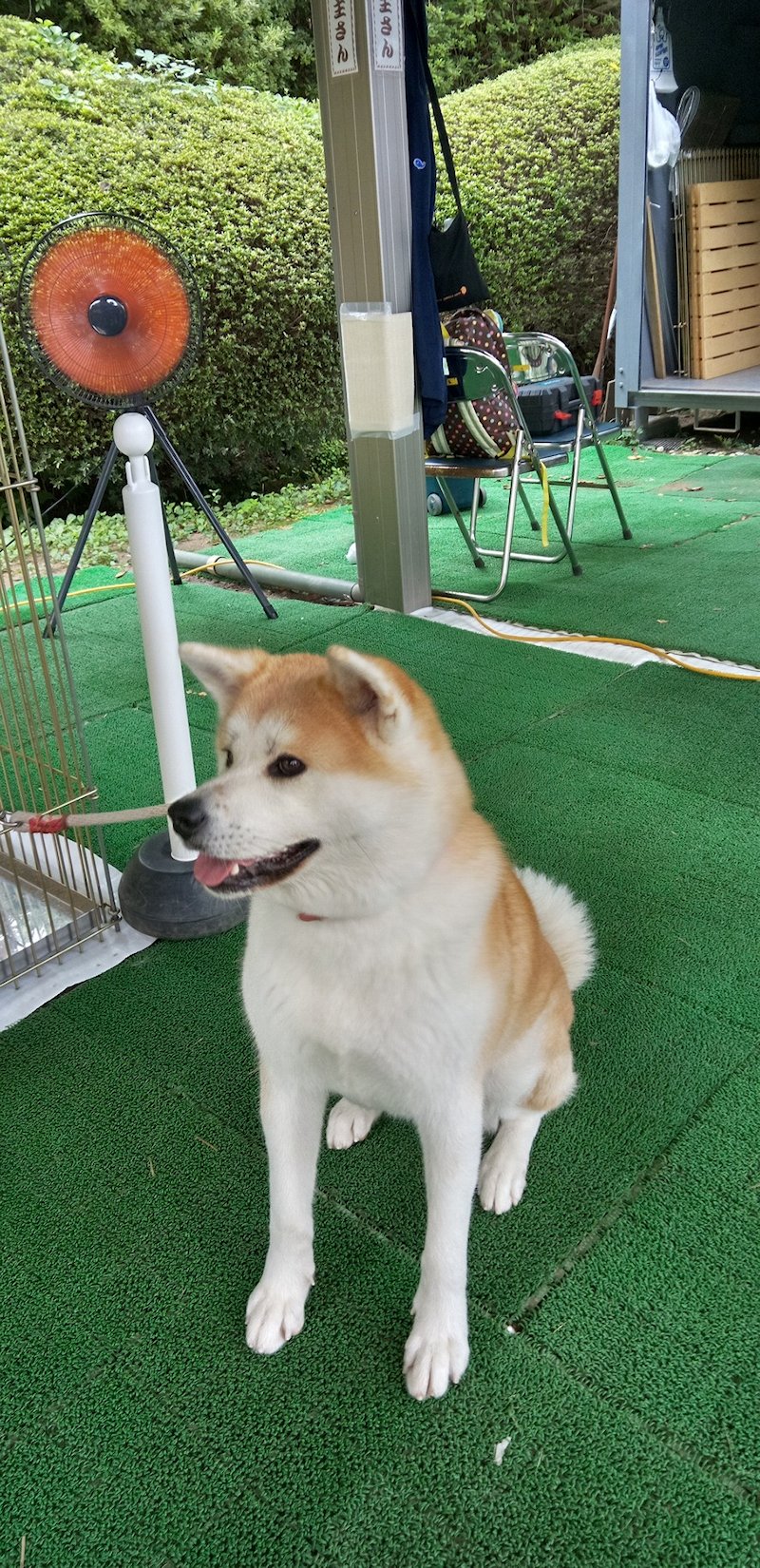 �ŏI���i�R���ځj�@�H�c���@��H�����@�H�c�s��