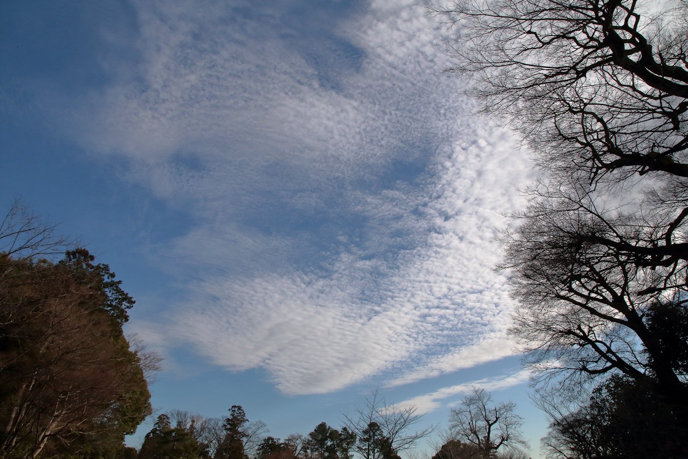 ���ΐ_�Ё@����