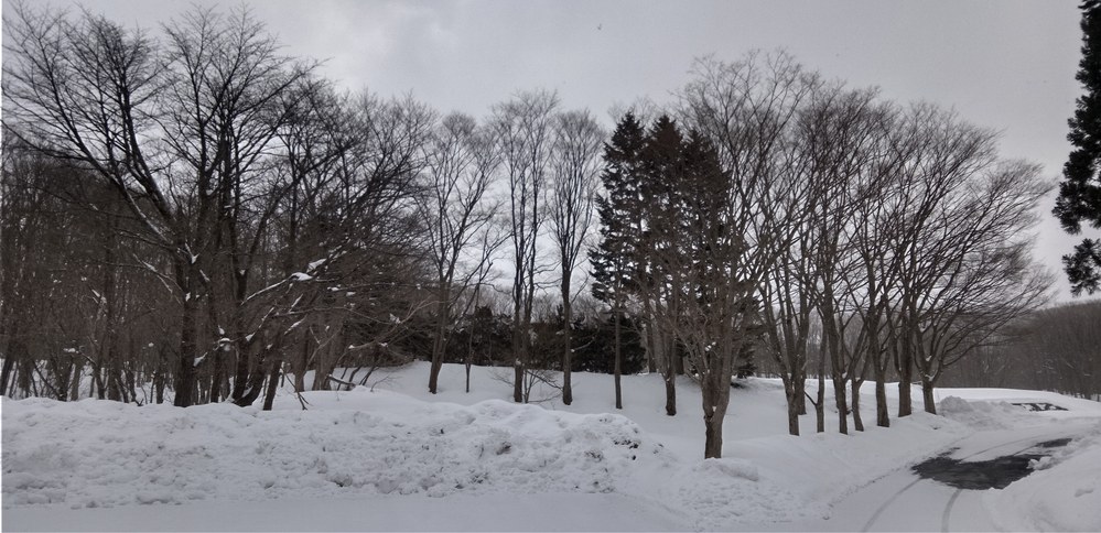 ���򉷐�@���ق��琅�򉷐򋽃o�X��܂ł̓��@�h���}�̃����V�[���̂悤�ȕ��i