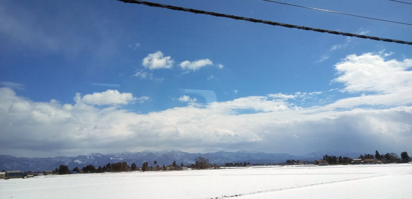 �c��΂���H�c�w�ց@�V�����ɏ���Ă����琰��Ă��܂���