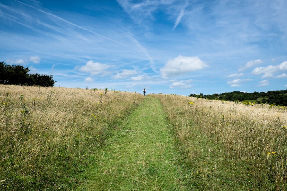 �t�b�g�p�X�@�@�T�E�X�_�E���Y�@��C���O�����h