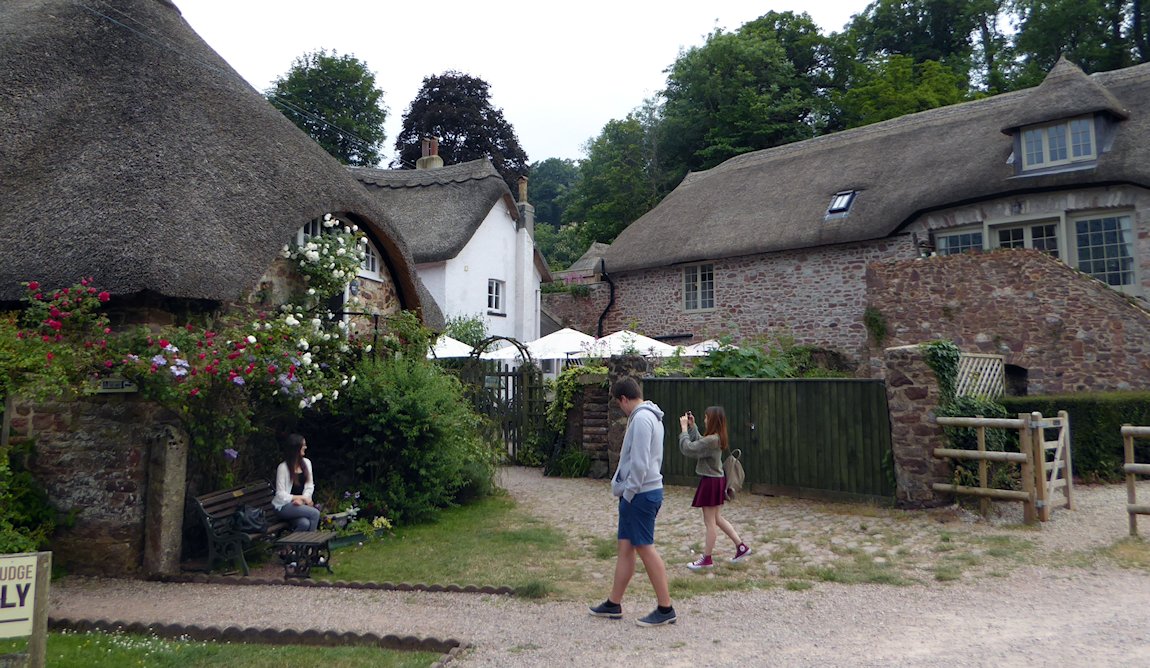 �R�b�L���g���@��C���O�����h