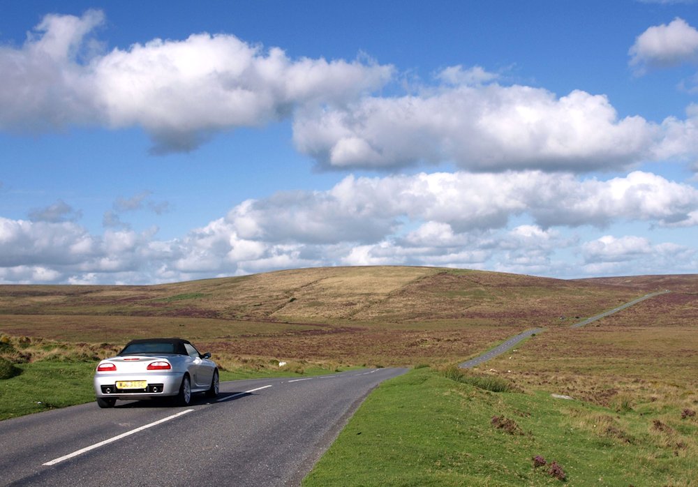 �_�[�g���[�A�@ �f���H���@��C���O�����h