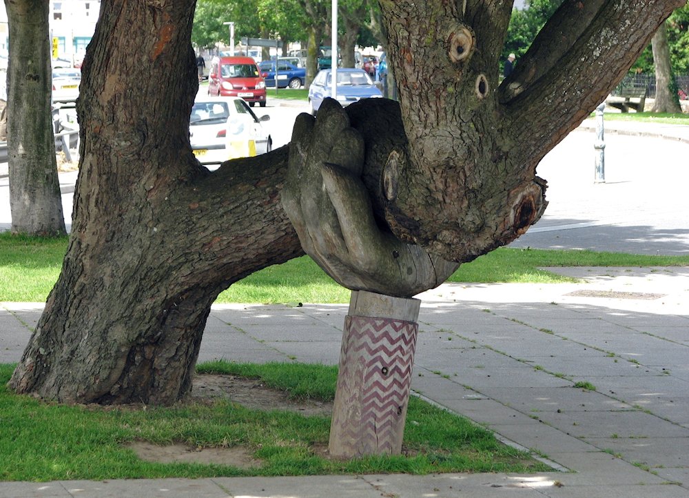 ���C�t�Y�n���h