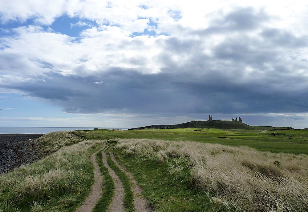 �_���X�^���o����@�k�C���O�����h