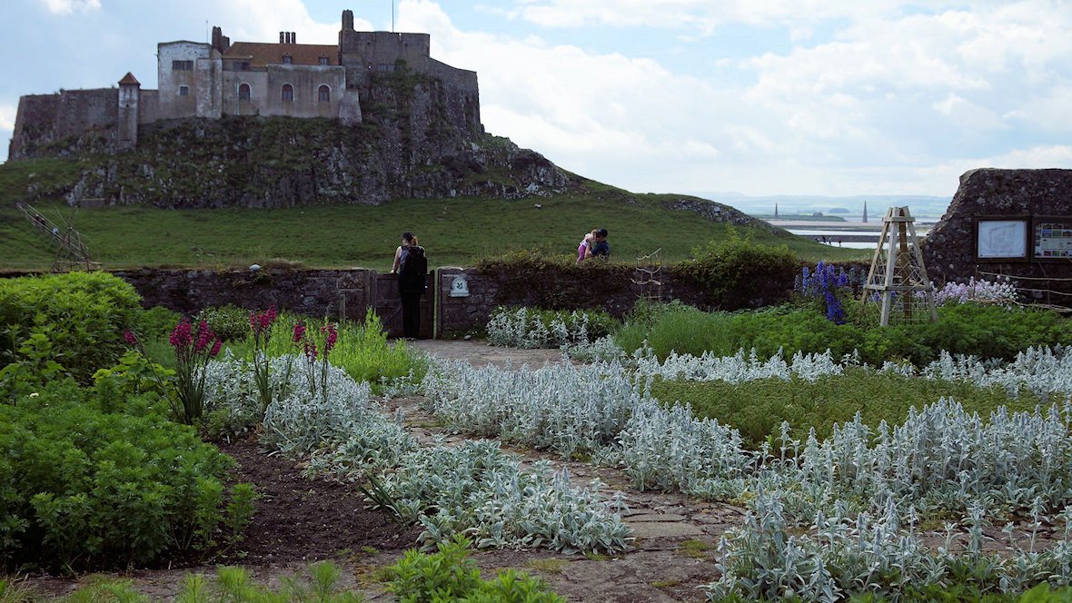 �������f�B�X�t�@�[���@�k�C���O�����h