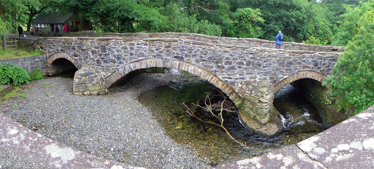 �x�^�j�A���@�t�F�X�e�B�j�I�O �@�E�F�[���Y