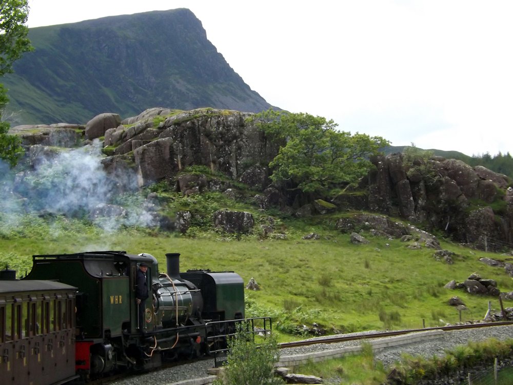 �t�F�X�e�B�j�I�O�S���@�E�F�[���Y