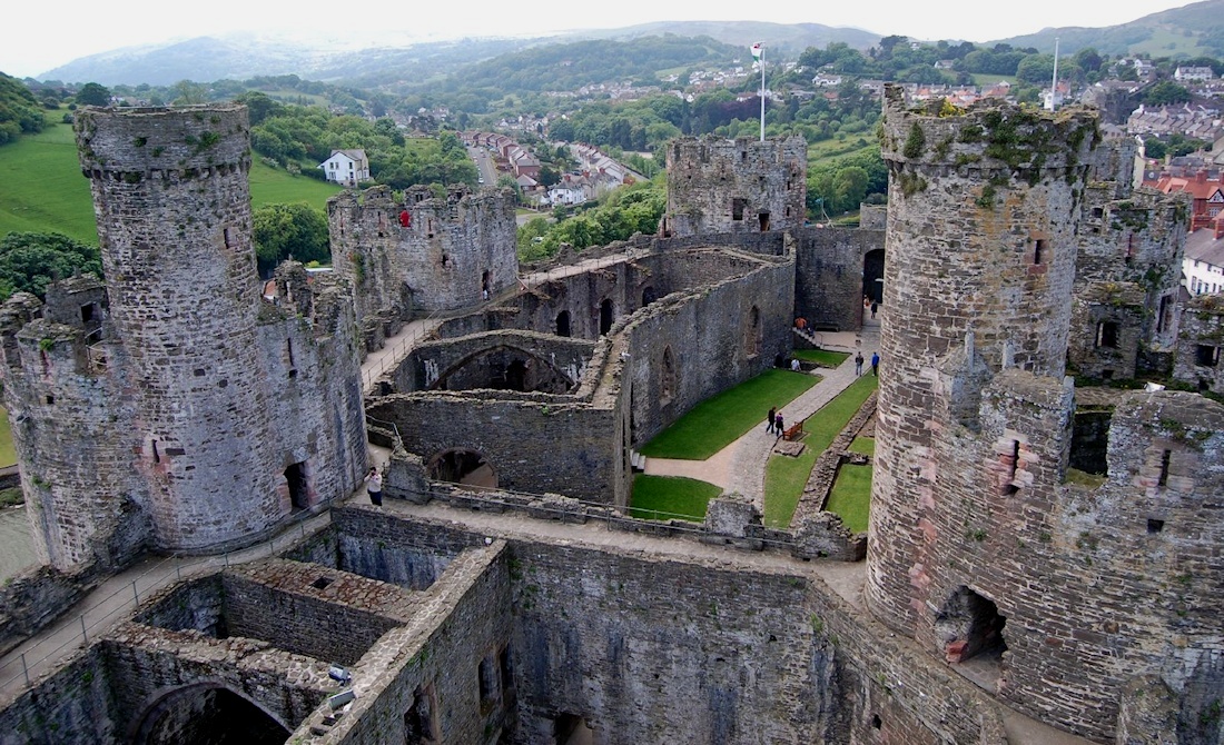 �R���E�B��@�k�E�F�[���Y