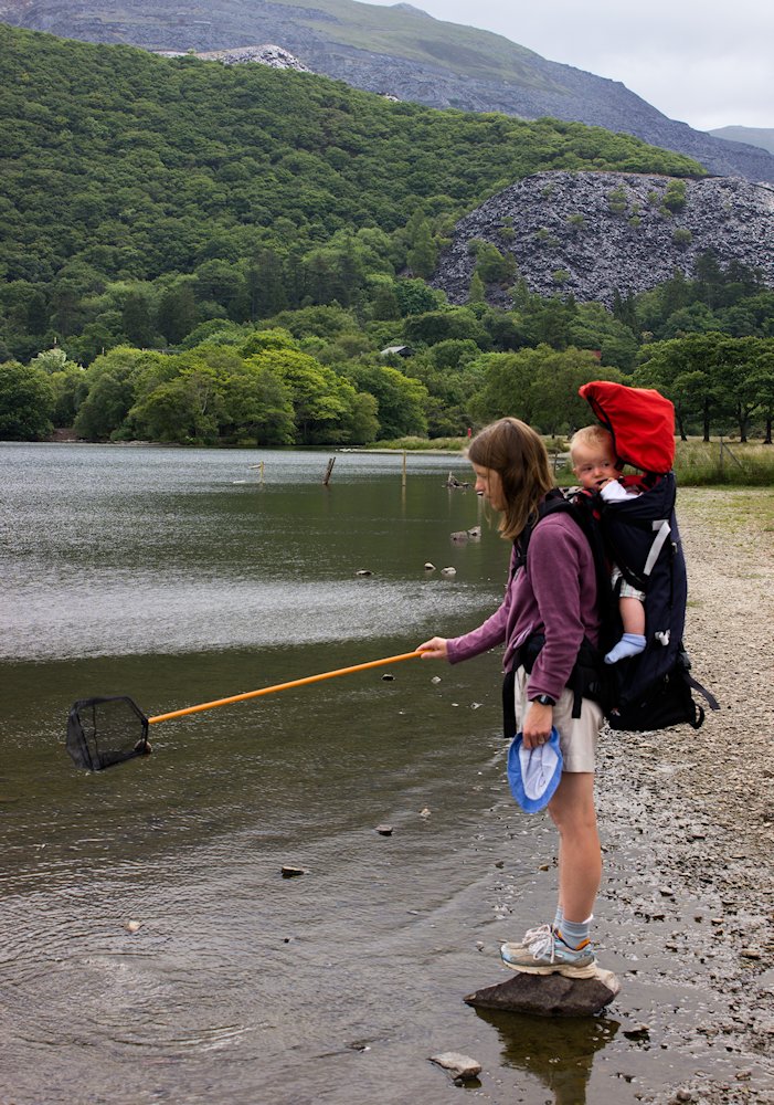 �X�m�[�h���@�@�E�F�[���Y