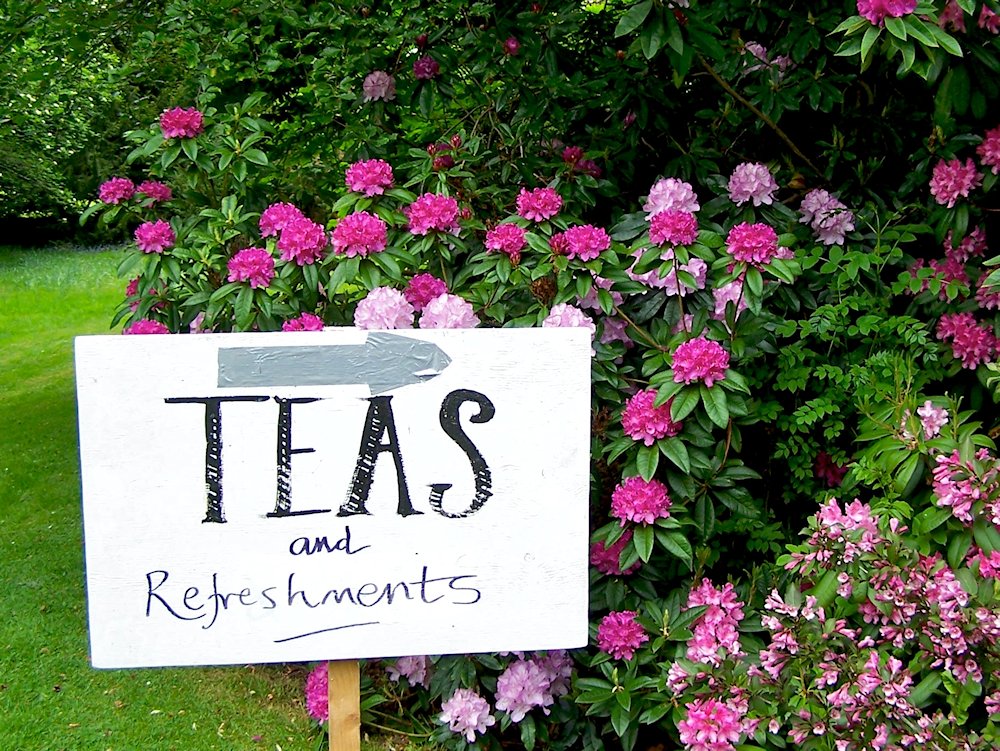 �p�E�B�X��@�@�E�F�[���Y