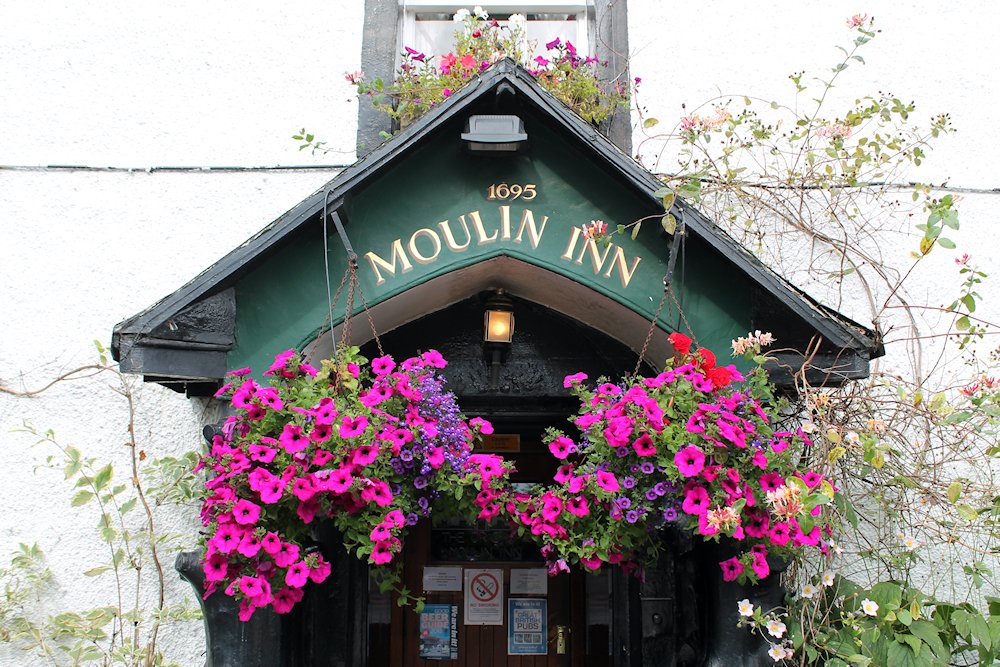 �s�g���b�z���[�a���a�@�@�n�C�����h