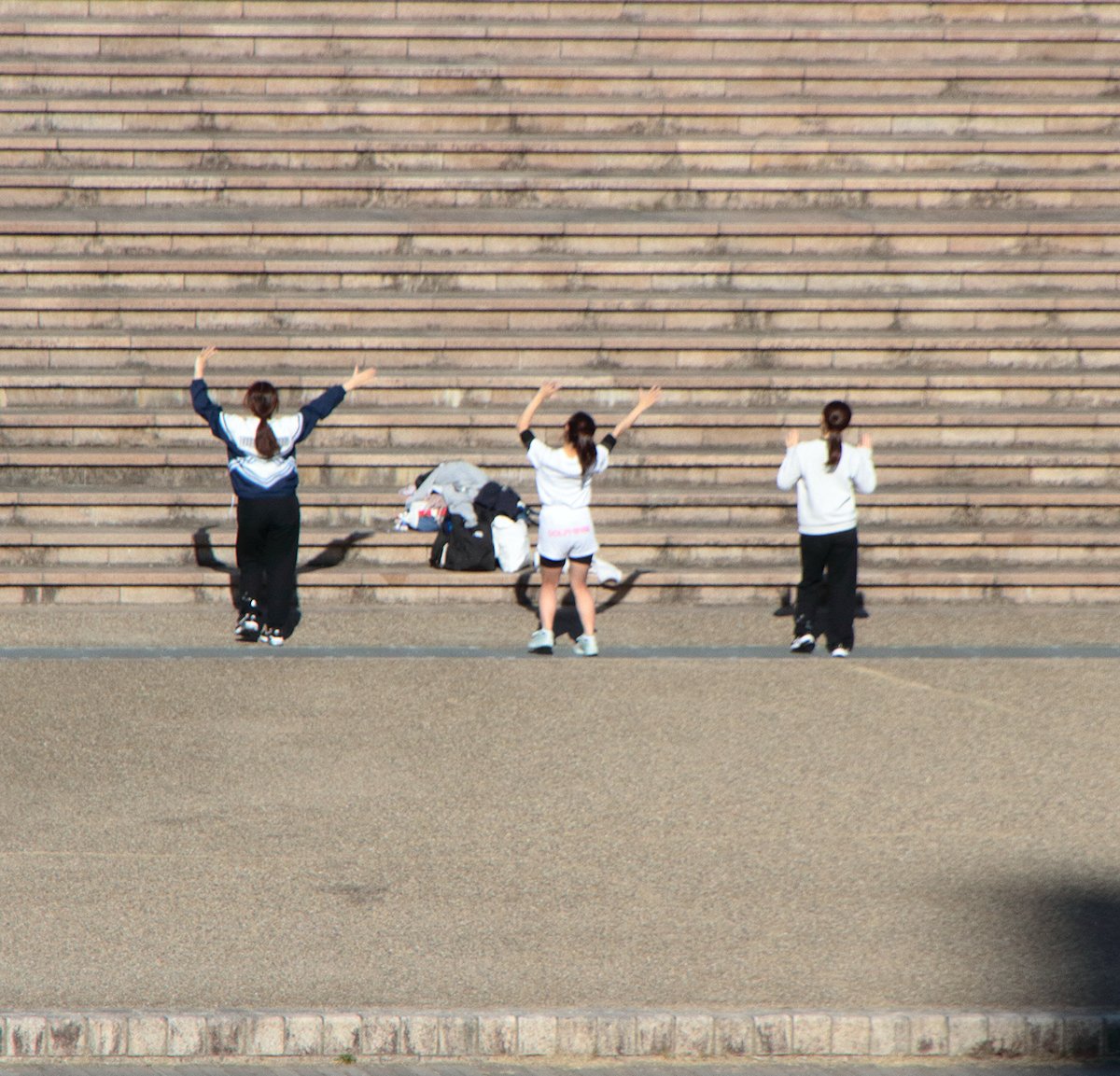 �R�l�ڂ��Q��