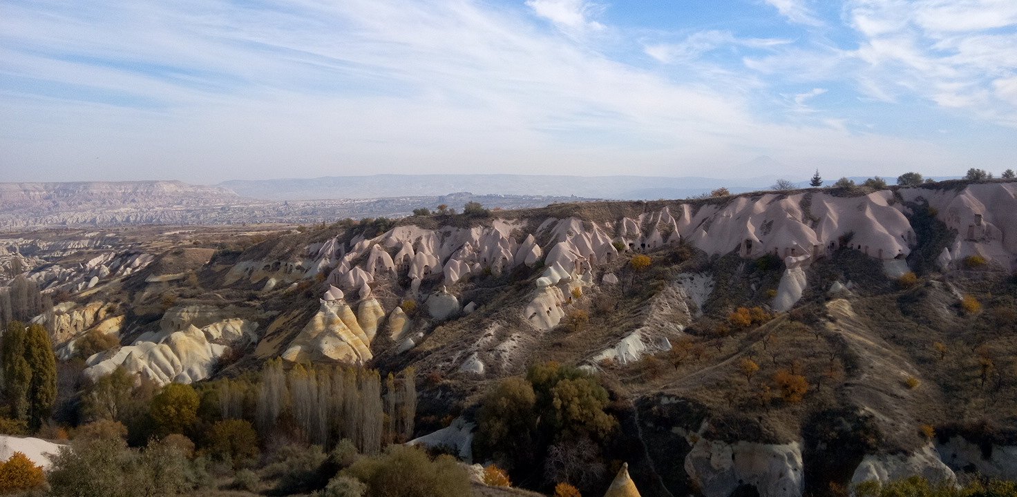 �M��������������