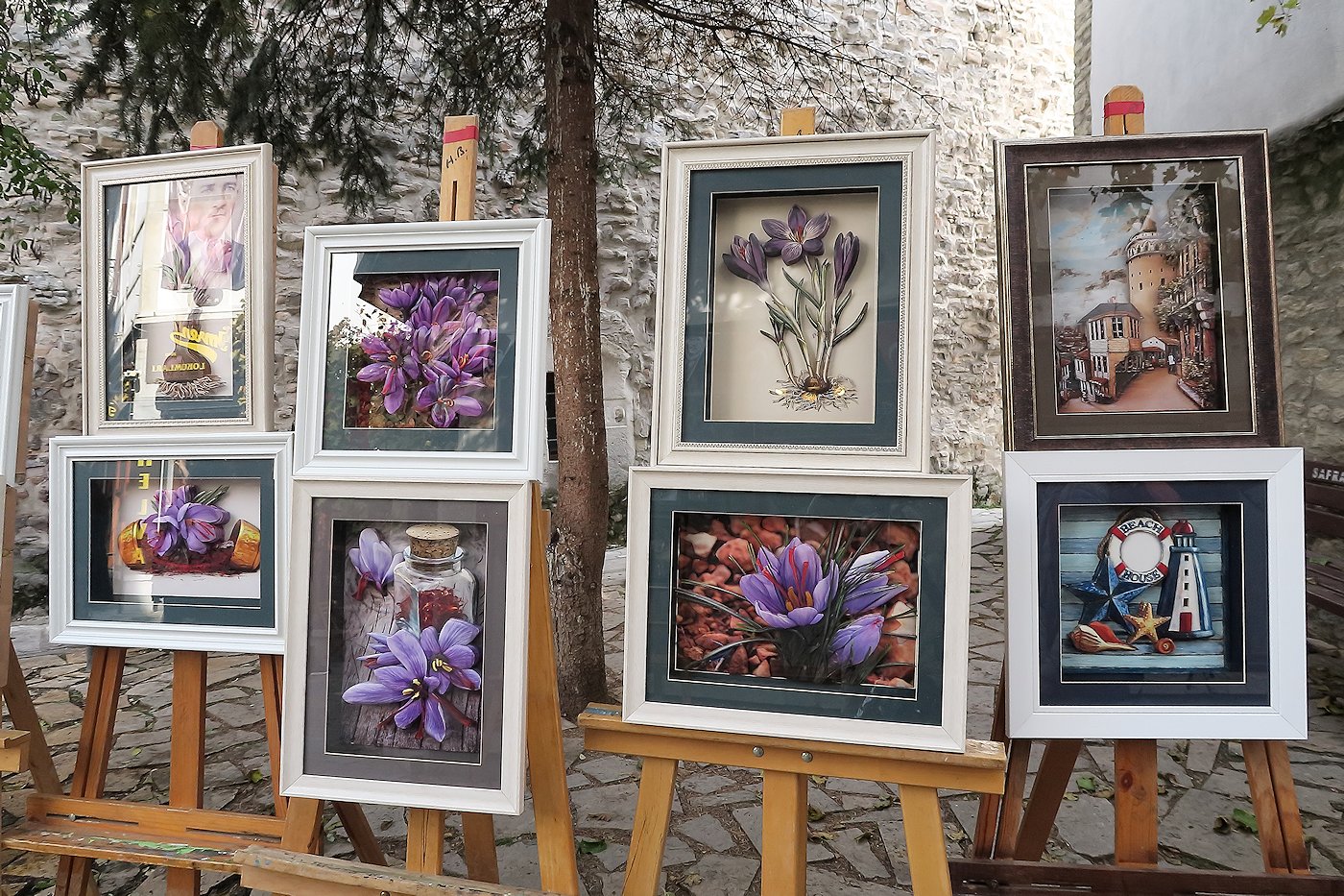 �T�t�����̊G