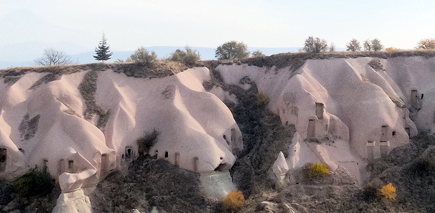 �M������