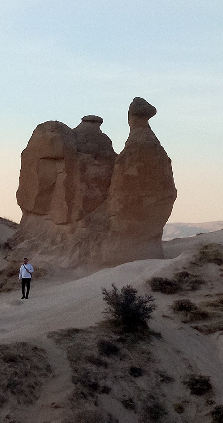 �炭���̊�