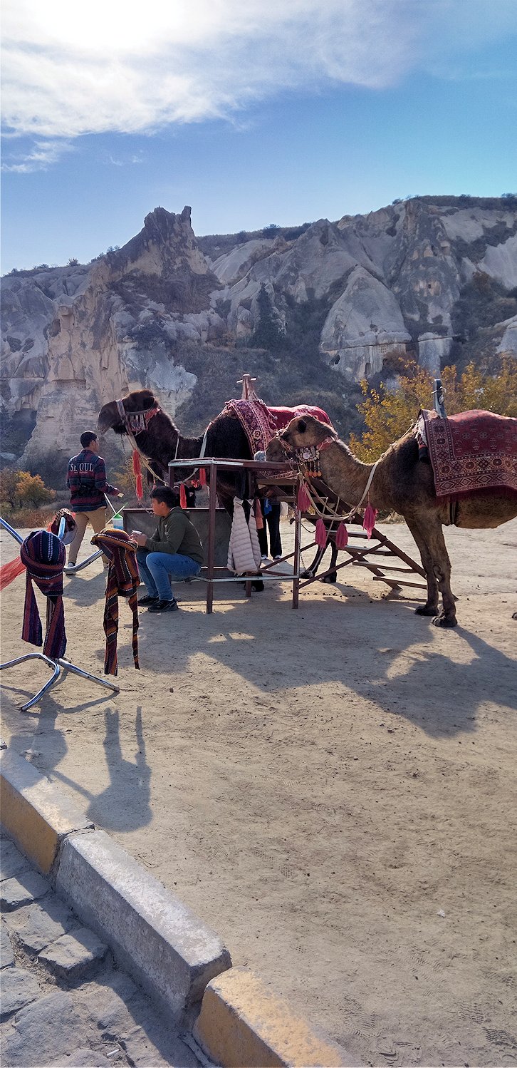 �炭���Ƃ炭����