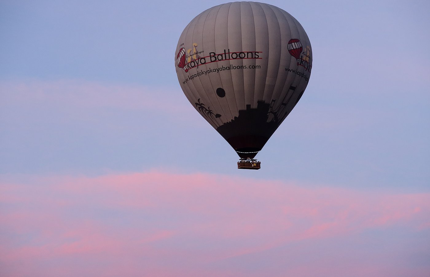 �J�b�p�h�L�A�@�C��