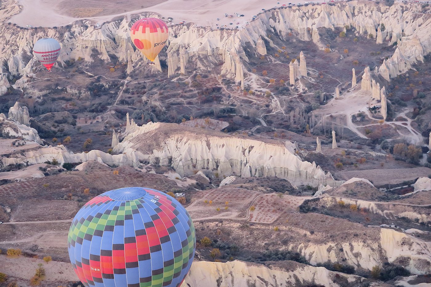 �J�b�p�h�L�A�@�C��