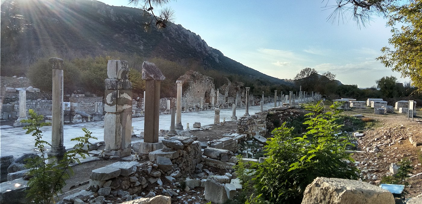 �G�t�F�\�X