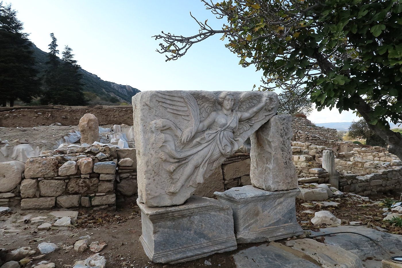 �����̏��_�@�G�t�F�\�X