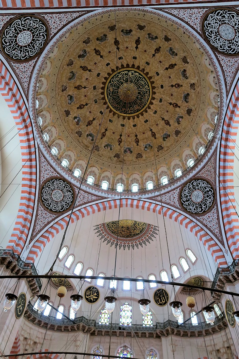 �`�����[���{�a�z�e������