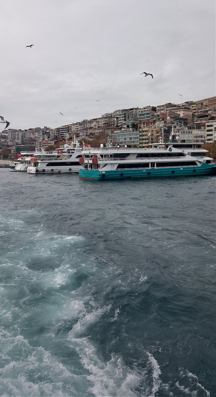 �{�X�|���X�C��