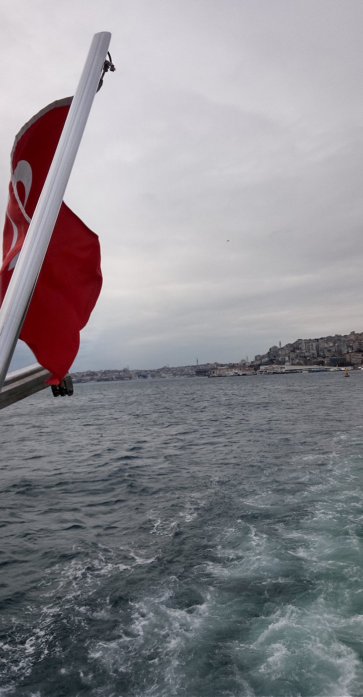 �{�X�|���X�C��