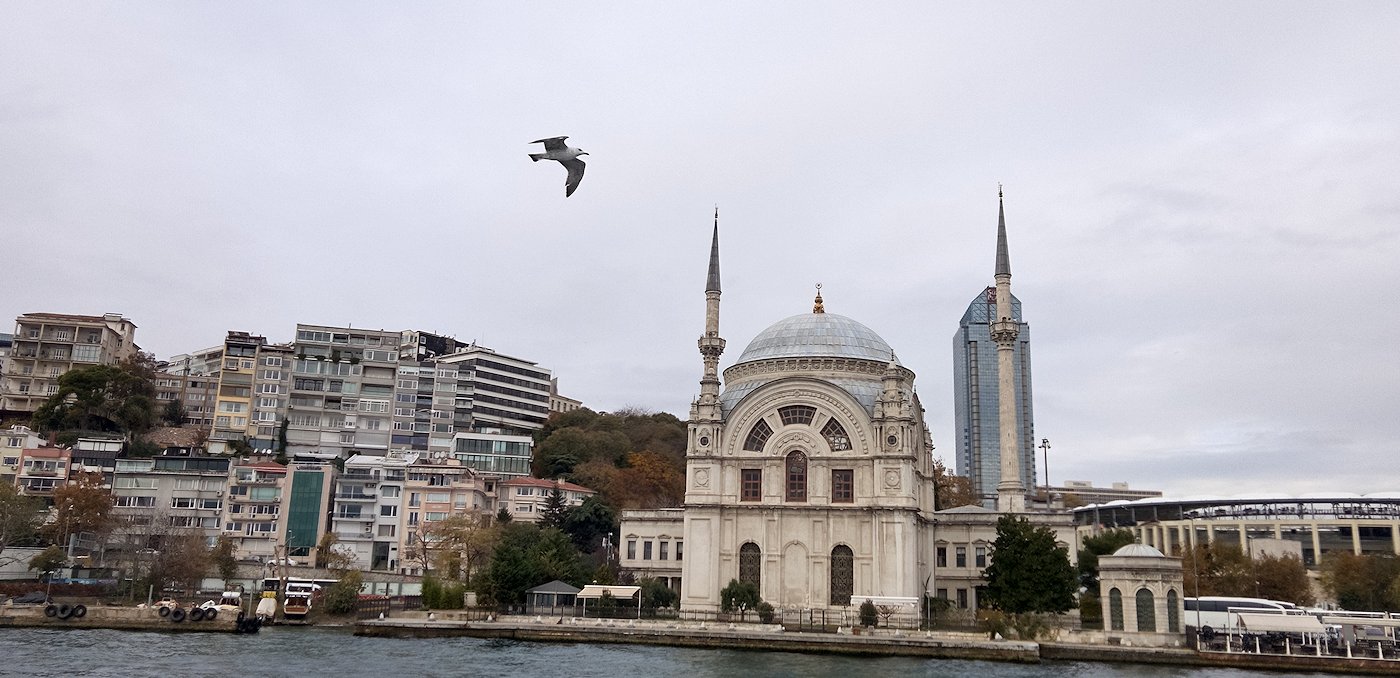 �{�X�|���X�C��