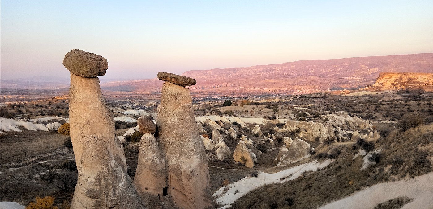 �X���[�E�V�X�^�[�Y�@�J�b�p�h�L�A