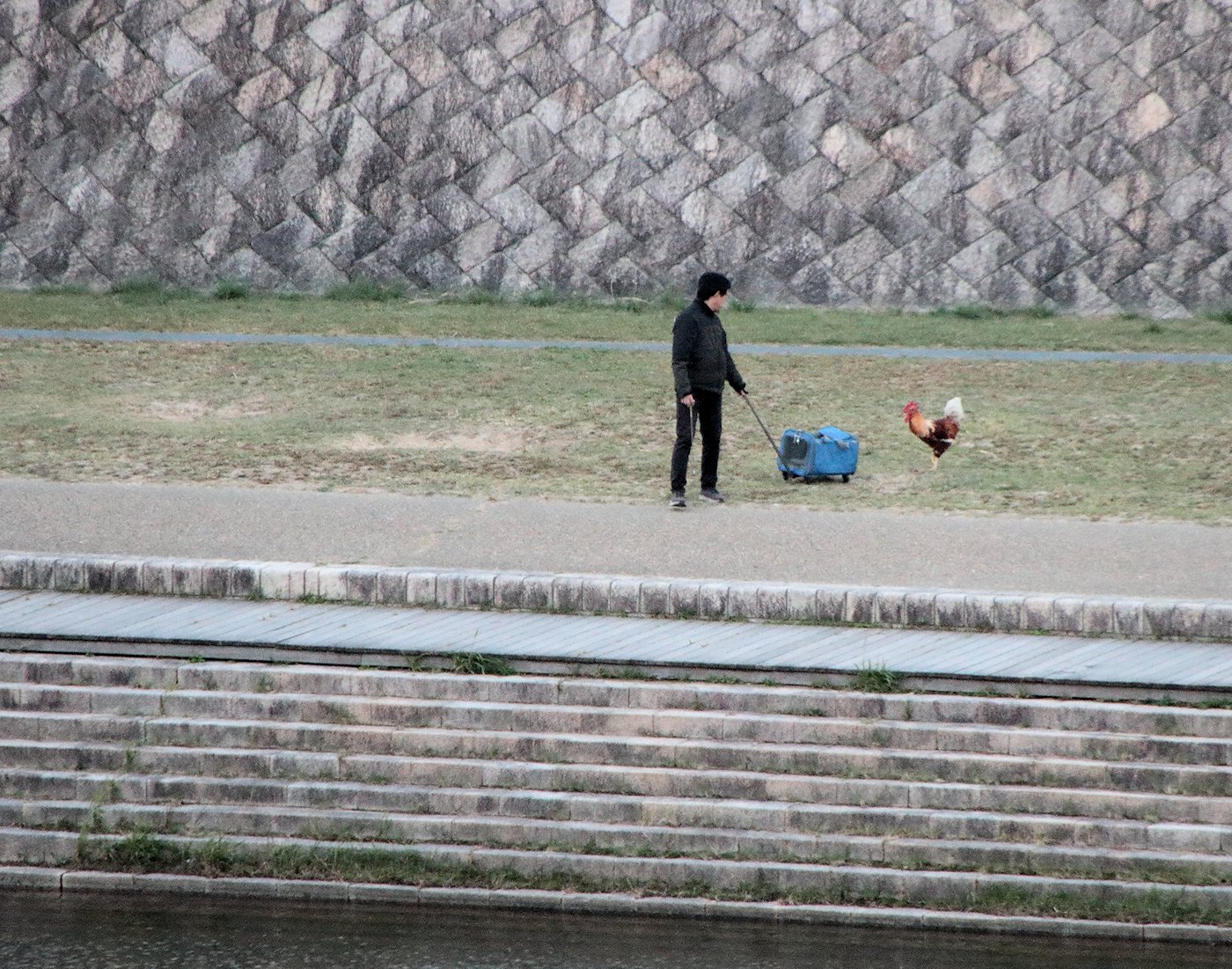 �����m�j���g��