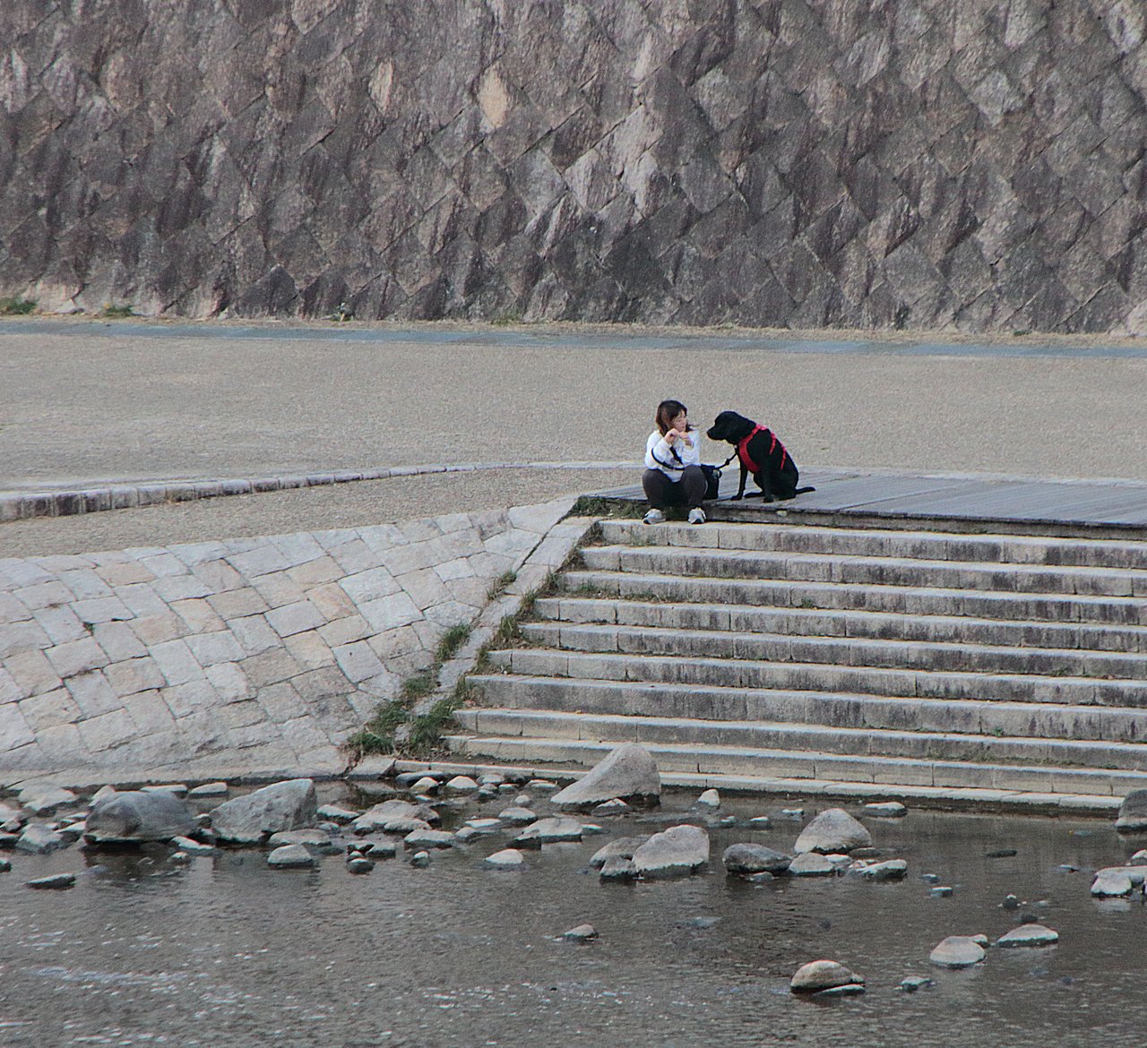 ���������ǁ@���J���́H