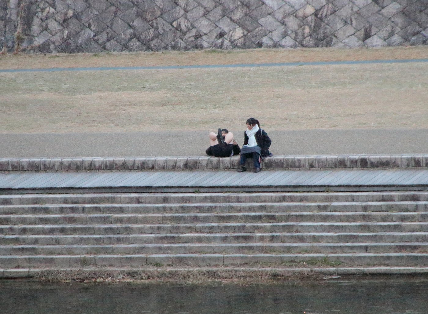 ���������肱�ڂ��@�c